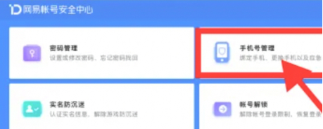 网4