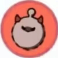 网14