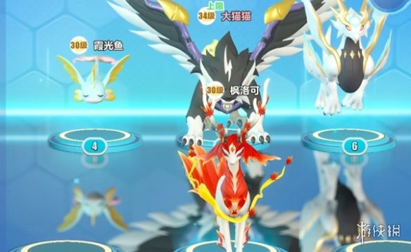 网2