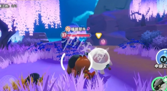 网6