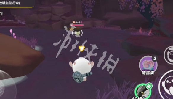网9