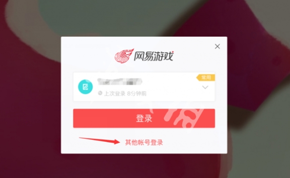 网5