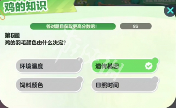 网7