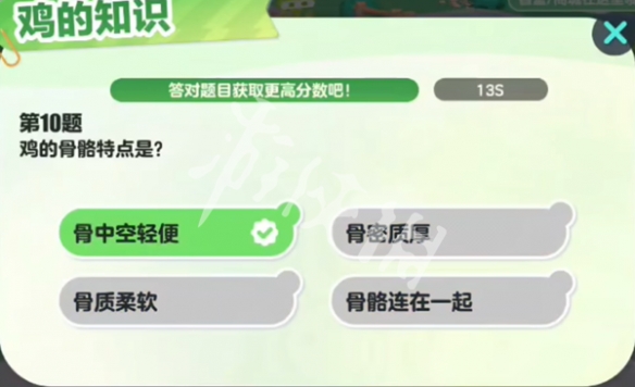 网11