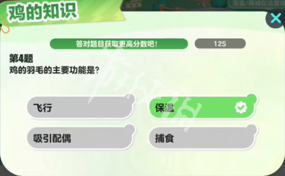 网5