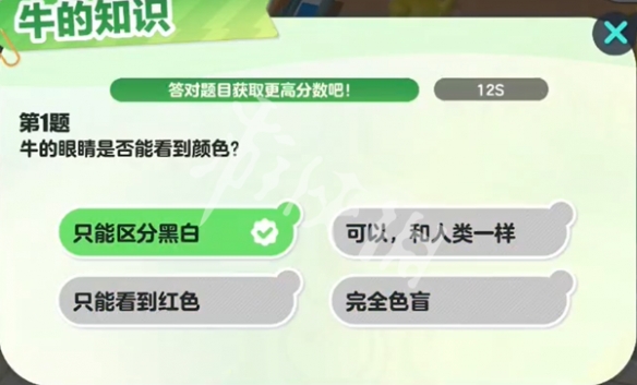 网2