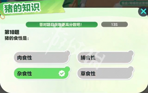 网11