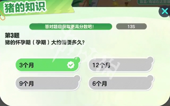 网4