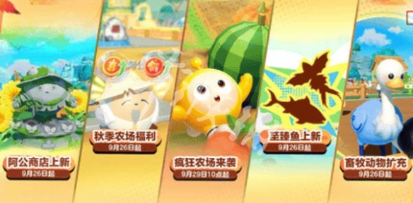 网24