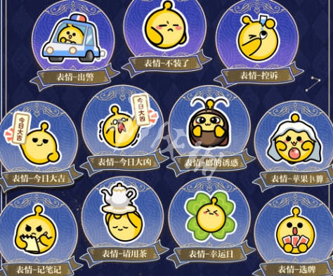 网5